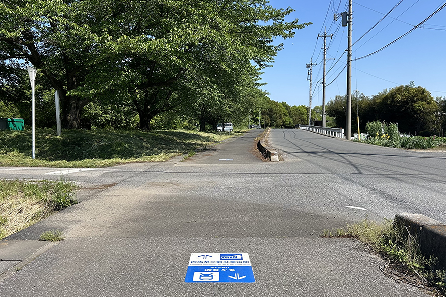 そのまま橋を渡るまで直進します。川では野鳥が見られることがあります。