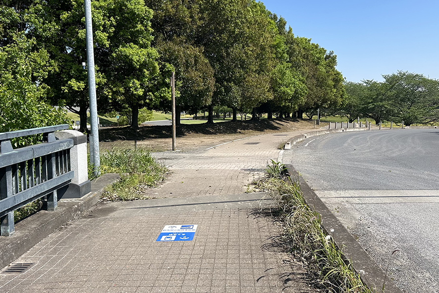 左手に美術館の建物が見えてきます。入口方向に向かうスロープを降ります。