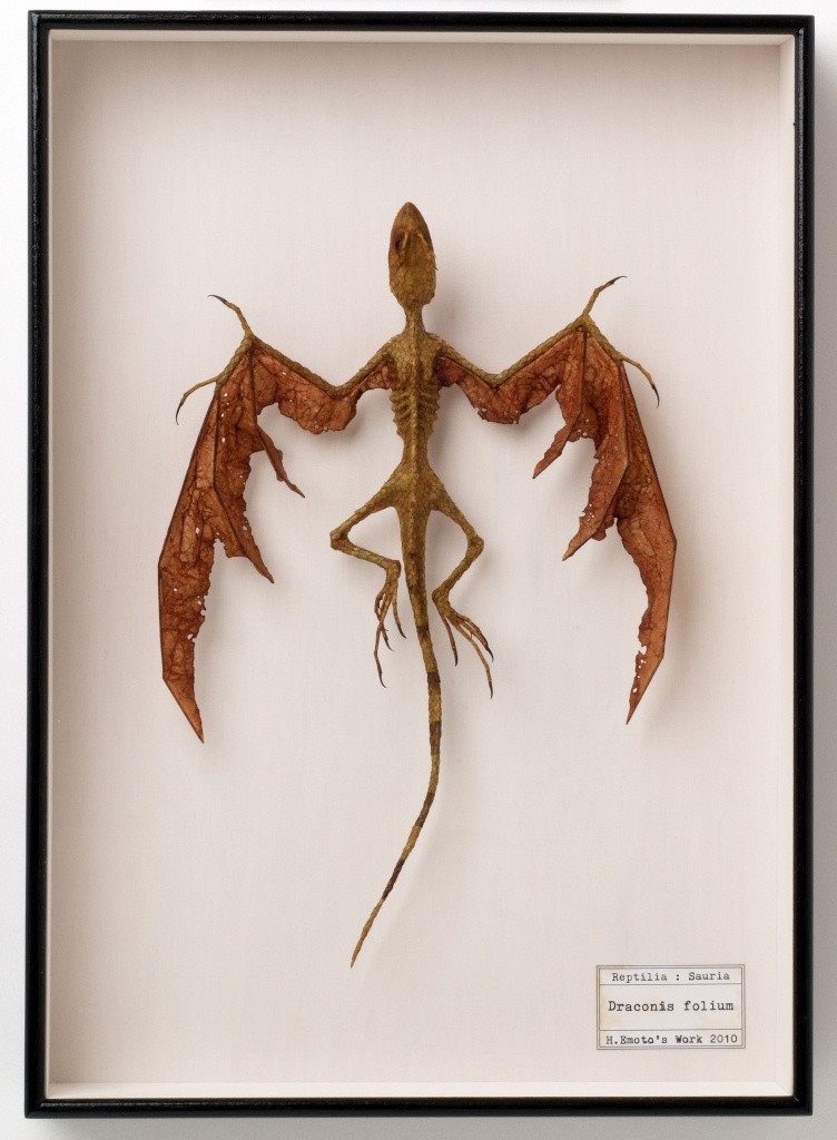 江本創《竜Draconis folium爬虫綱 トカゲ亜目》2010年、ミクストメディア