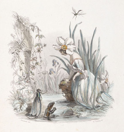 Dear Animals and Plants-親愛なる仲間たち-