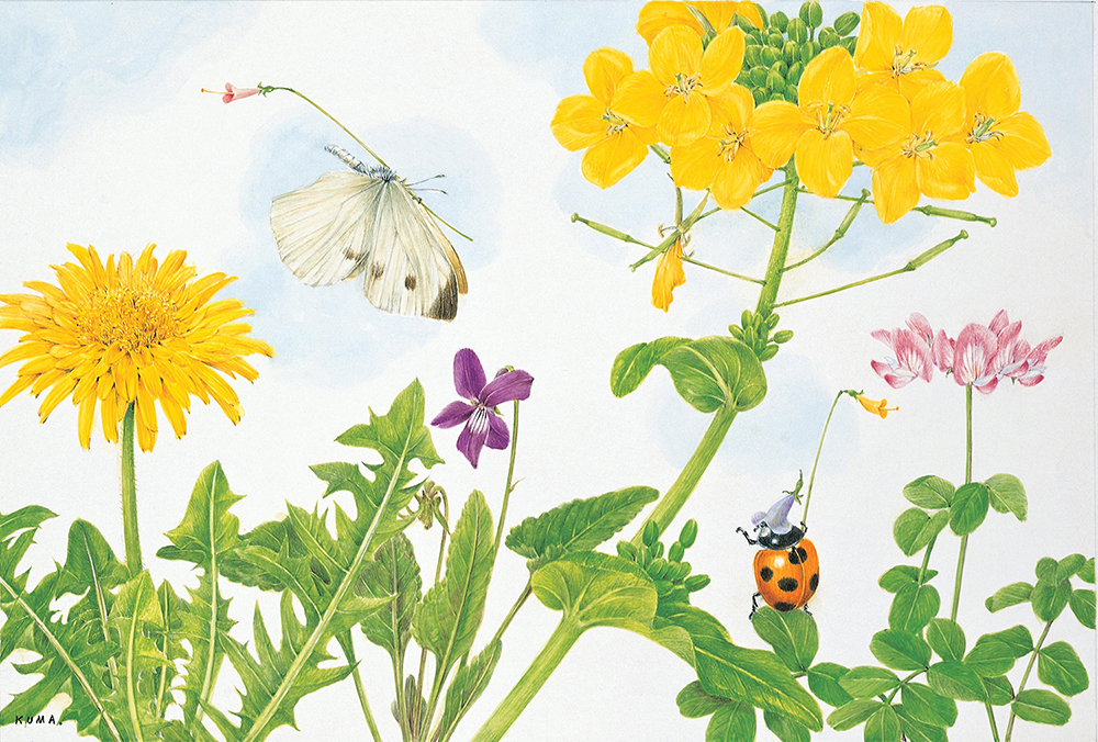 From The Adventures of Maya the Bee (Gakken Sannen no kagaku), c. 1975 (c)chikabo kumada