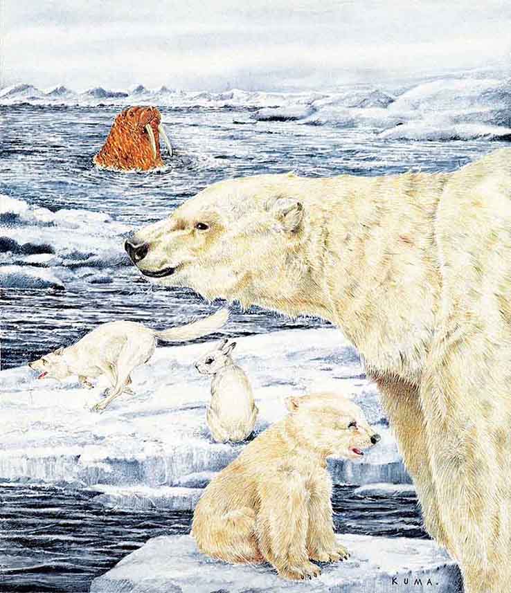 Animals at the North Pole, 1968–1975 ©chikabo kumada