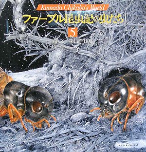 ファーブル昆虫記の虫たち (5)