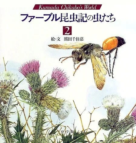 ファーブル昆虫記の虫たち (2)