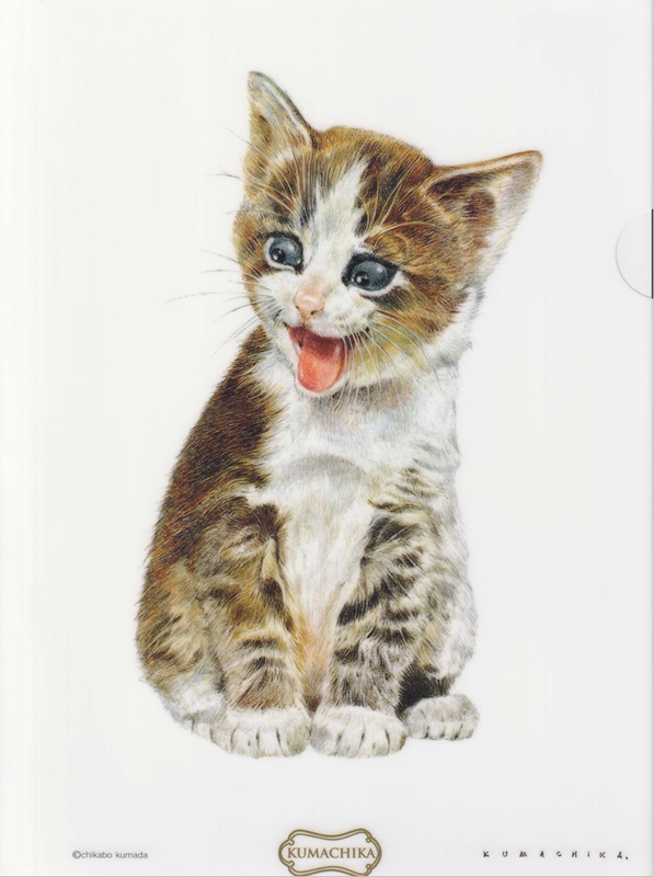 クリアファイル